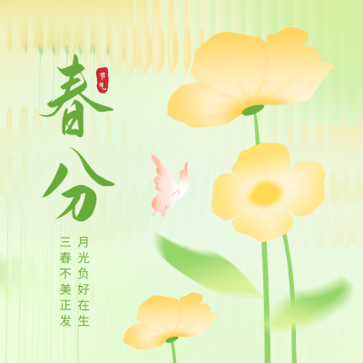 手绘春分节气方形海报 模板ID：48175