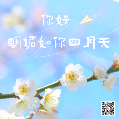 四月你好清新实景赏花日签方形海报 模板ID：48447