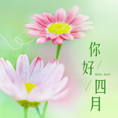 四月你好问候日签方形海报 模板ID：48487