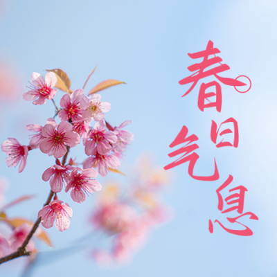 春天实景公众号封面次图 模板ID：48993