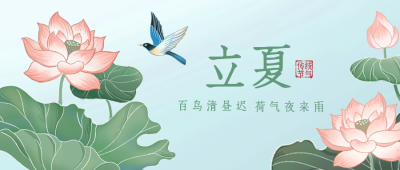 立夏荷花传统节气宣传封面首图 模板ID:49068