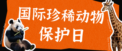 国际珍稀动物保护日保护动物公众号封面首图 模板ID：49291