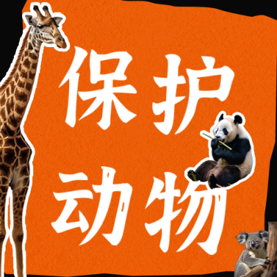 国际珍稀动物保护日保护动物公众号封面次图 模板ID：49290