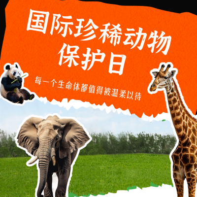 国际珍稀动物保护日保护动物方形海报 模板ID：49289
