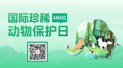 国际珍稀动物保护日二维码 模板ID：49318