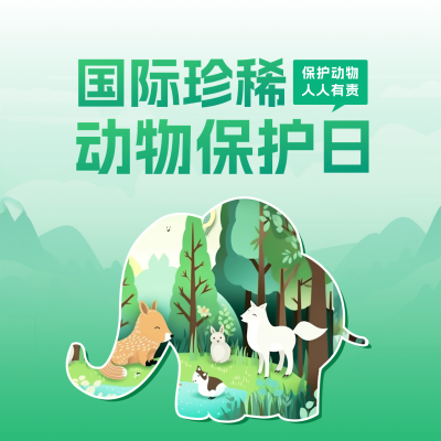 国际珍稀动物保护日方形海报 模板ID：49316