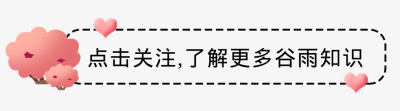 粉色可爱风谷雨引导关注 模板ID:49477
