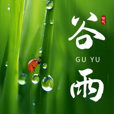 谷雨节气绿色实景公众号次图 模板ID：49687