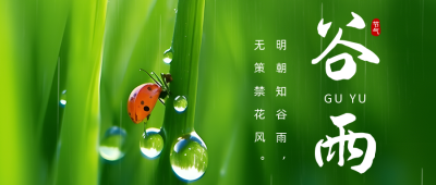 谷雨节气绿色实景公众号首图 模板ID：49686