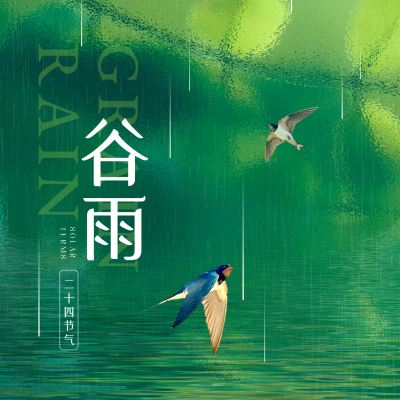 谷雨传统节气方形海报 模板ID:49766