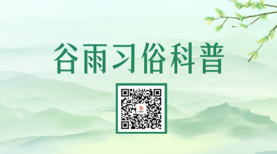 谷雨节气习俗二维码 模板ID：49860