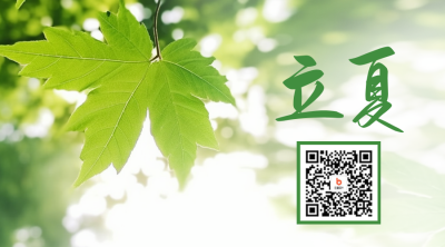 立夏实景二维码 模板ID：49886