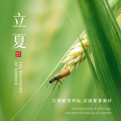 立夏实景方形海报 模板ID：50929