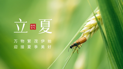 立夏实景公众号新图文封面 模板ID：50932