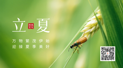 立夏实景二维码 模板ID：50931