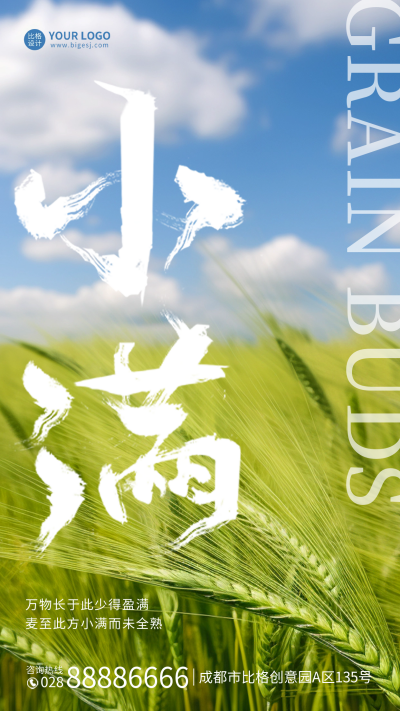 小满节气实景手机海报 模板ID:51632