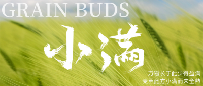 小满节气公众号封面首图 模板ID：51788