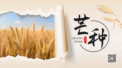 芒种节气实景二维码 模板ID:52356