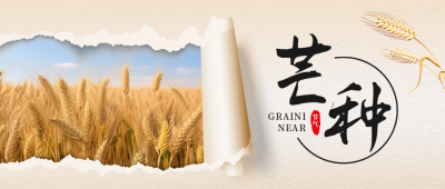 芒种节气实景封面首图 模板ID：52354