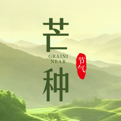 芒种实景节气封面次图 模板ID：52363