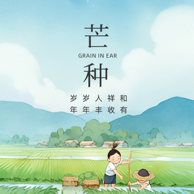 手绘芒种方形海报 模板ID：52404