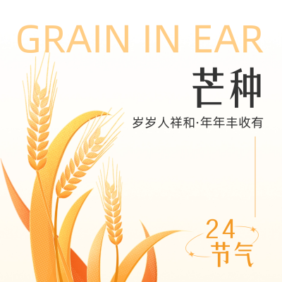 手绘芒种方形海报 模板ID：52400