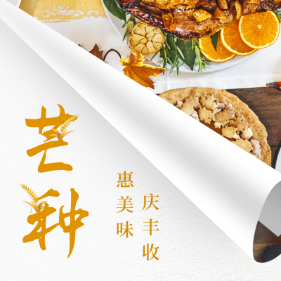 芒种餐饮促销活动方形海报 模板ID：52390