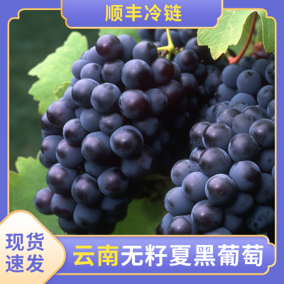 夏季水果促销商品主图 模板ID：54676