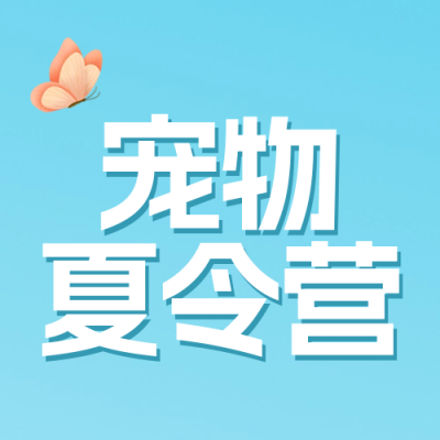 宠物训练营优惠封面次图 模板ID:54791