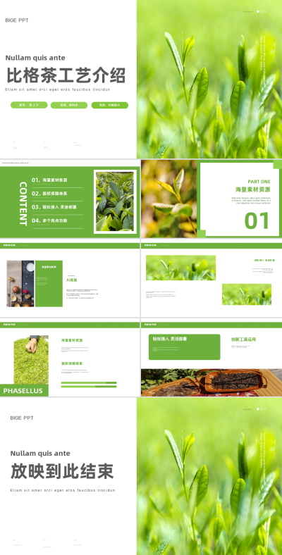 绿色实景风茶工艺介绍PPT 模板ID:55004