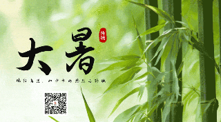 中国传统大暑节气实景动态二维码 模板ID：55256
