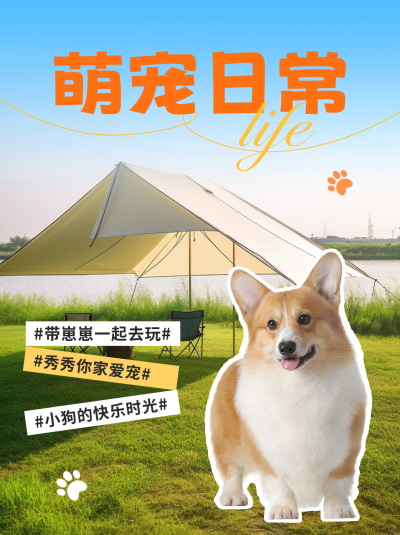 萌宠日常晒照小红书封面 模板ID:55629
