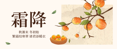 霜降节气柿子封面首图 模板ID：58834