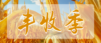 丰收季日签公众号首图 模板ID：59057