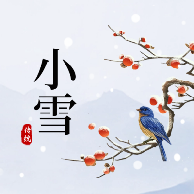 小雪节气封面次图 模板ID：59656