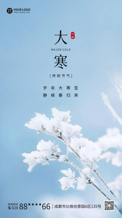 大寒实景海报 模板ID:61628