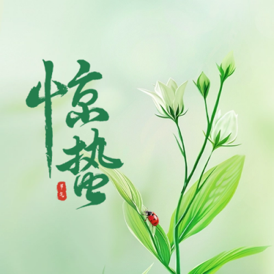 惊蛰实景公众号封面次图 模板ID：63350