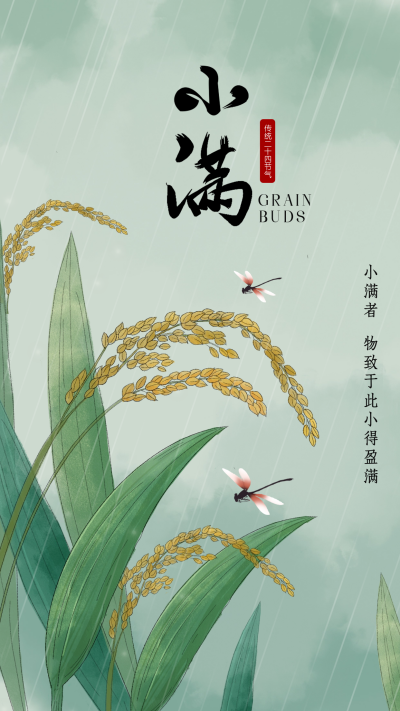 小满节气宣传海报 模板ID：65130