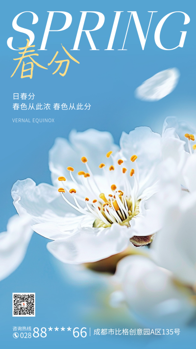 春分节气祝福实景海报 模板ID：63602