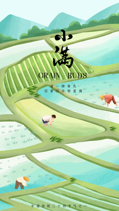 小满节气宣传海报 模板ID：65025