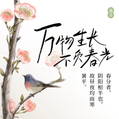 春分麻雀公众号封面次图 模板ID：64024