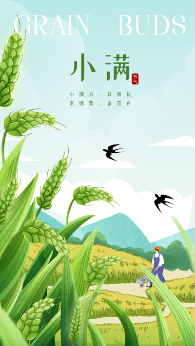 小满节气宣传海报 模板ID:65085