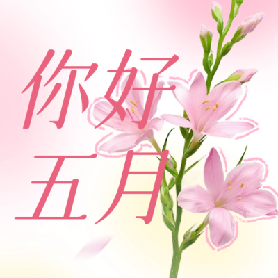 五月你好问候日签公众号封面次图 模板ID：64938