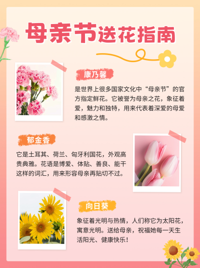 母亲节送花指南小红书封面 模板ID:65249