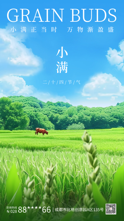 小满节气实景海报 模板ID:65636