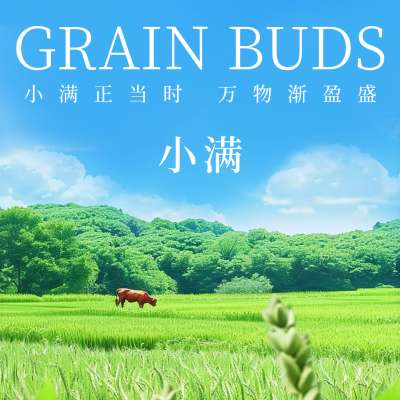 小满节气实景方形海报 模板ID：65637