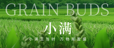 小满节气实景公众号封面首图 模板ID：65638