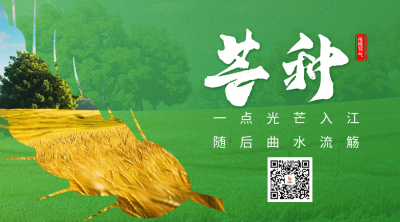 芒种节气祝福宣传二维码海报 模板ID：66502