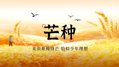 芒种节气实景公众号新图文封面图 模板ID：66563