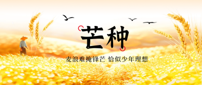 芒种节气实景封面首图 模板ID：66565